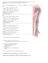 sample upper limb report pdf